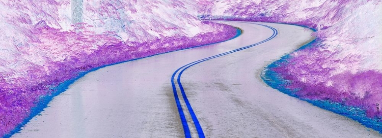 Picture of WASHINGTON STATE-OLYMPIC NATIONAL PARK PANORAMIC ABSTRACT OF CURVING PARK ROAD