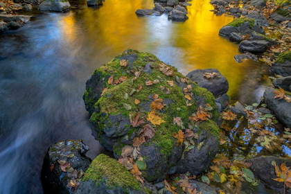 Picture of WASHINGTON STATE-OLYMPIC NATIONAL FOREST REFLECTIONS OF AUTUMN IN ROCKY CREEK 