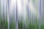 Picture of WASHINGTON STATE-SEABECK PANORAMIC ABSTRACT OF ALDER GROVE 