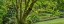 Picture of WASHINGTON STATE-BAINBRIDGE ISLAND PANORAMIC OF GARDEN 