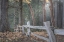 Picture of WASHINGTON STATE-SEABECK SPLIT-RAIL FENCE AND FOREST 