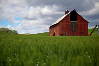 Picture of WASHINGTON STATE-PALOUSE RED BARN IN FARM FIELD