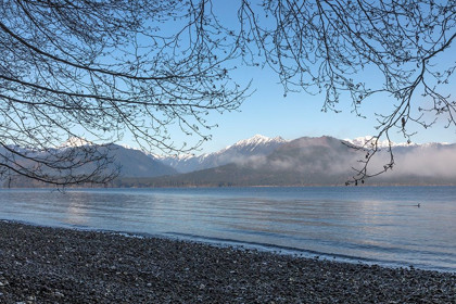 Picture of WASHINGTON STATE-SEABECK WINTER MORNING ON HOOD CANAL BEACH