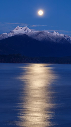 Picture of WASHINGTON STATE-SEABECK MOON OVER OLYMPIC MOUNTAINS AND HOOD CANAL AT SUNRISE