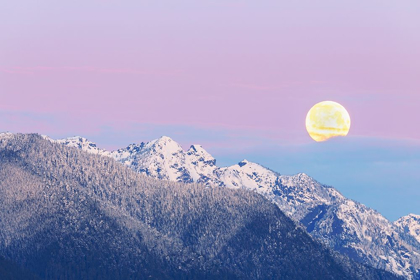 Picture of WASHINGTON STATE MOON SETTING OVER THE OLYMPIC MOUNTAINS AT SUNRISE