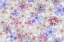 Picture of WASHINGTON STATE-SEABECK MONTAGE OF SPRING FLOWERS