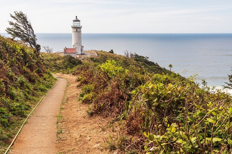 Picture of WASHINGTON STATE-ILWACO-CAPE DISAPPOINTMENT STATE PARK NORTH HEAD LIGHTHOUSE