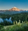 Picture of WASHINGTON STATE BEARGRASS WILDFLOWERS FROM THE FLANK OF TOLMIE PEAK AT EUNICE LAKE