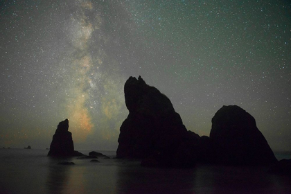 Picture of THE MILKY WAY RISING BEHIND SEA STACKS ON RUBY BEACH-OLYMPIC NATIONAL PARK-WASHINGTON STATE