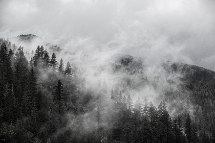 Picture of NORTH CASCADES MOUNTAINS-FOGGY MOUNTAIN