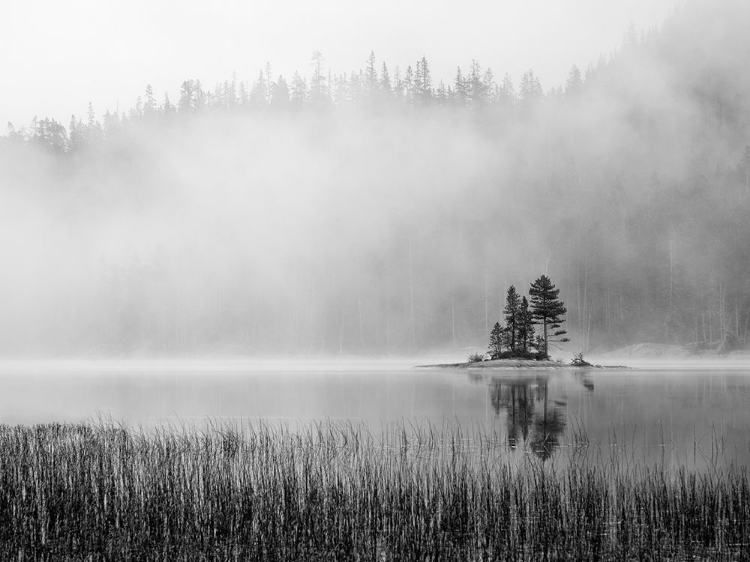 Picture of WASHINGTON STATE ALPINE LAKES WILDERNESS-SNOW LAKE-ISLAND AND FOG