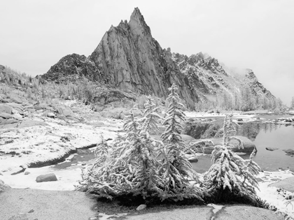 Picture of ALPINE LAKES WILDERNESS-ENCHANTMENT LAKES-SNOW COVERED LARCH TREES-WITH PRUSIK PEAK