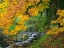 Picture of WA-REDMOND-STREAM AND AUTUMN COLOR