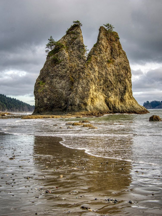 Picture of WA-OLYMPIC NATIONAL PARK-RIALTO BEACH-SEASTACK AND STORMY SKY