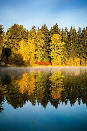 Picture of WASHINGTON STATE-CLE ELUM FALL COLOR BY A POND IN CENTRAL WASHINGTON