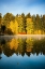 Picture of WASHINGTON STATE-CLE ELUM FALL COLOR BY A POND IN CENTRAL WASHINGTON