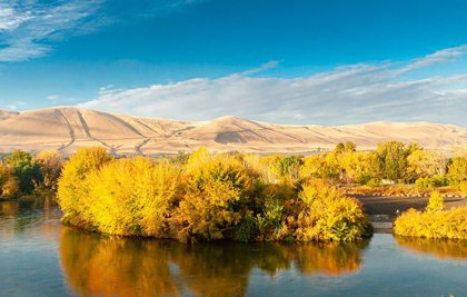 Picture of WASHINGTON STATE-YAKIMA VALLEY FALL COLORS ARE REFLECTED IN THE YAKIMA RIVER