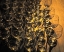 Picture of WASHINGTON STATE-WALLA WALLA PATTERN OF EMPTY WINE GLASSES IN RICH SUNLIGHT ON WOODEN TABLE