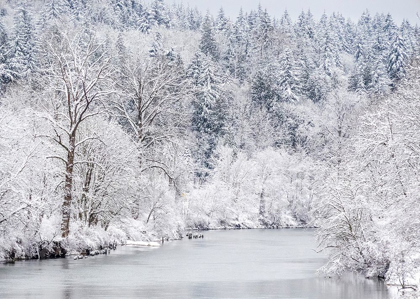 Picture of WASHINGTON STATE-FALL CITY AND THE SNOQUALMIE RIVER WITH WINTER FRESH SNOW FALL