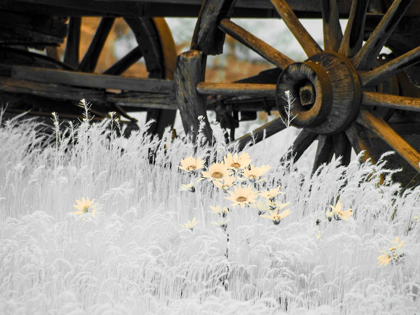 Picture of WAGON WHEELS WITH SPRING WILDFLOWERS