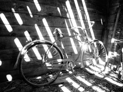 Picture of OLD BICYCLE INSIDE BARN WITH SHADOWS STREAMING