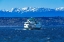 Picture of WASHINGTON STATE FERRY OLYMPIC MOUNTAINS-EDMONDS-WASHINGTON STATE