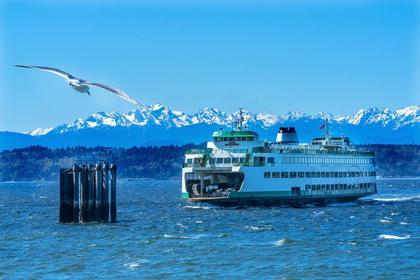 Picture of SEAGULL AND WASHINGTON STATE FERRY-OLYMPIC MOUNTAINS-EDMONDS-WASHINGTON STATE