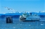 Picture of SEAGULL AND WASHINGTON STATE FERRY-OLYMPIC MOUNTAINS-EDMONDS-WASHINGTON STATE