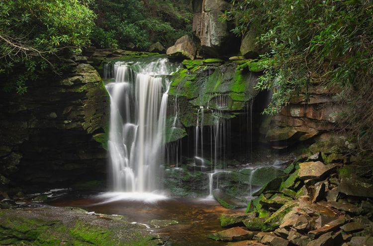 Picture of FIRST OR UPPER EKALAKA FALLS-BLACKWATER FALLS STATE PARK-WEST VIRGINIA