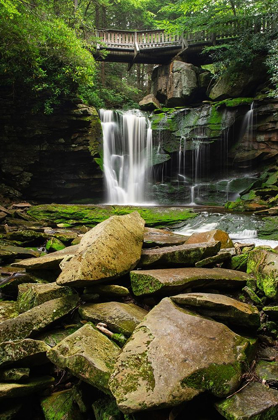 Picture of FIRST OR UPPER EKALAKA FALLS-BLACKWATER FALLS STATE PARK-WEST VIRGINIA