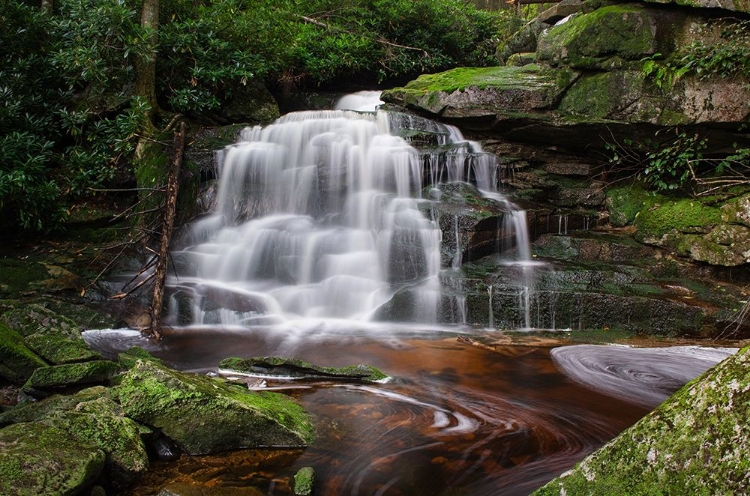 Picture of SECOND EKALAKA FALLS-BLACKWATER FALLS STATE PARK-WEST VIRGINIA