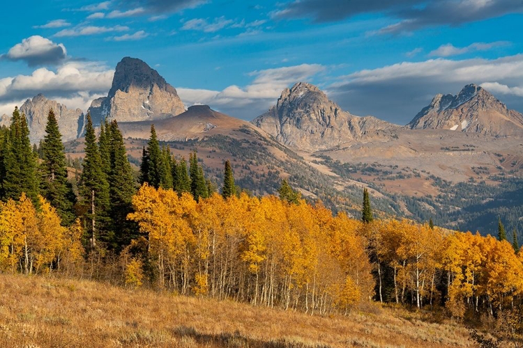 Picture of LANDSCAPE OF MT OWEN-GRAND TETON AND MIDDLE TETON FROM THE WEST-GOLDEN FALL FOLIAGE