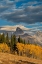 Picture of LANDSCAPE OF MT OWEN-GRAND TETON AND MIDDLE TETON FROM THE WEST-GOLDEN FALL FOLIAGE
