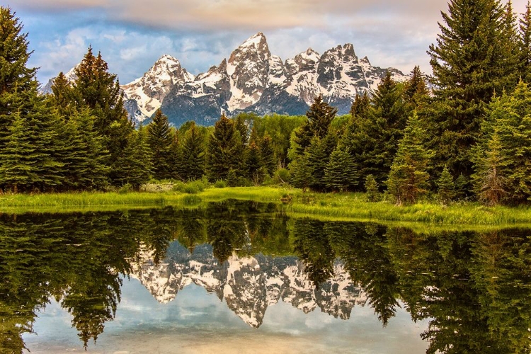 Picture of SCHWABACHER LANDING-TETONS-WYOMING