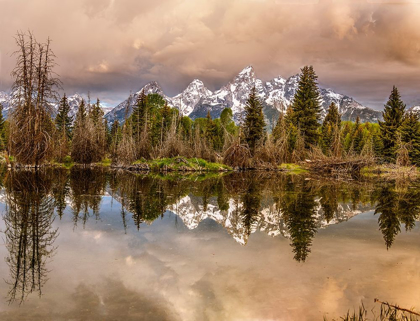 Picture of SCHWABACHER LANDING-TETONS-WYOMING