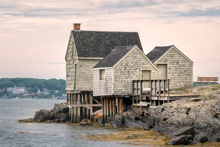 Picture of VINTAGE MAINE