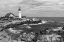 Picture of PORTLAND HEAD