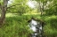 Picture of REFLECTING POOL