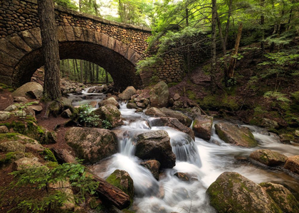 Picture of STONE BRIDGE I