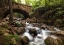 Picture of STONE BRIDGE I