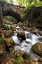 Picture of STONE BRIDGE II
