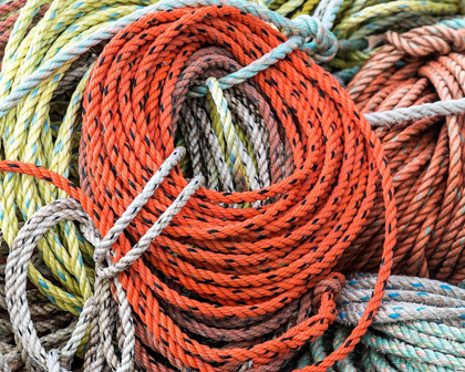 Picture of KNOWING THE ROPES II