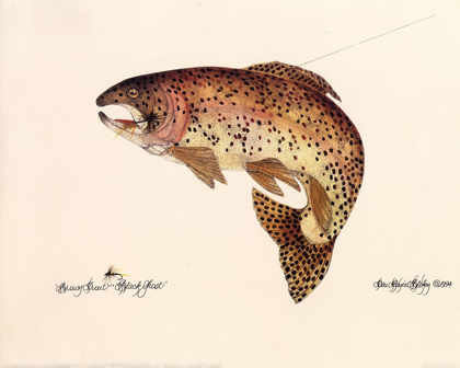 Picture of BROWN TROUT