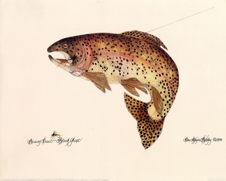 Picture of BROWN TROUT
