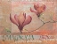 Picture of RED MAGNOLIA