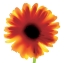Picture of FLORAL I