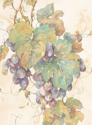 Picture of HANGING GRAPES