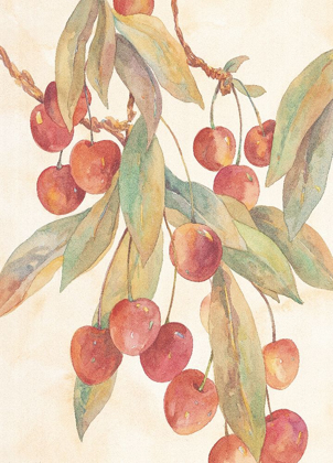 Picture of HANGING CHERRIES
