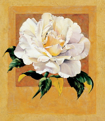 Picture of WHITE ROSE I