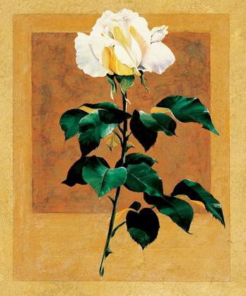 Picture of WHITE ROSE II